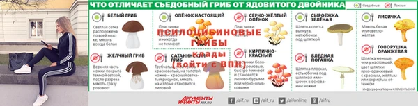 бошки Куйбышев