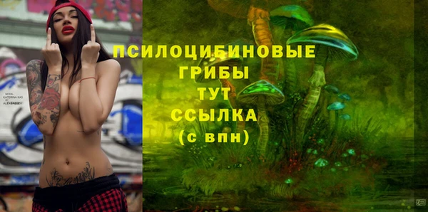 соль ск Кулебаки