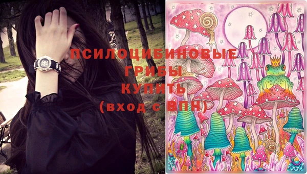бошки Куйбышев