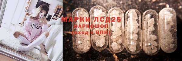 соль ск Кулебаки